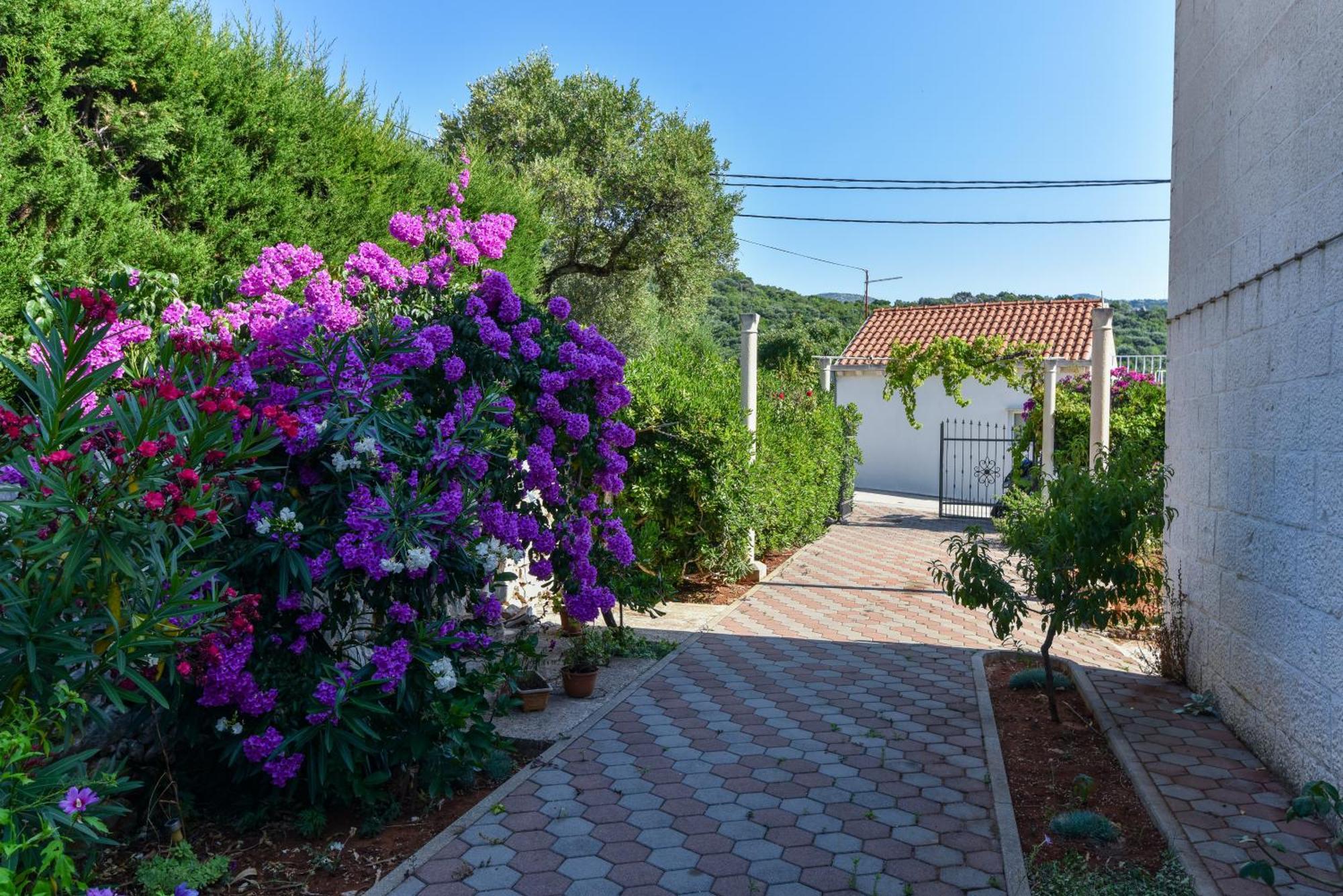 Vizmeg Holiday Home Dubrownik Zewnętrze zdjęcie